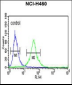 RPS13 Antibody (Center)